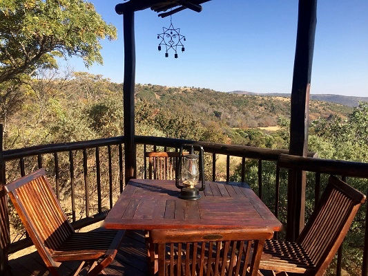 Wild Syringa porch