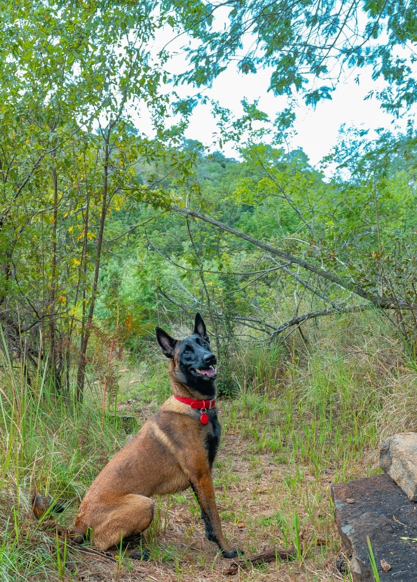 Hiking trail