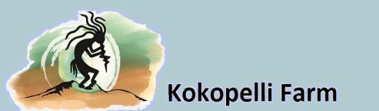 Kokopelli logo