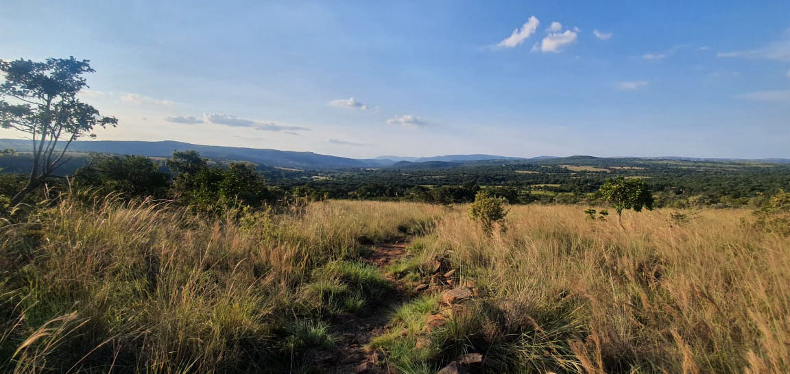 Hiking trail